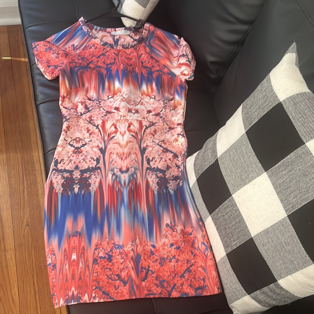 Zara dress